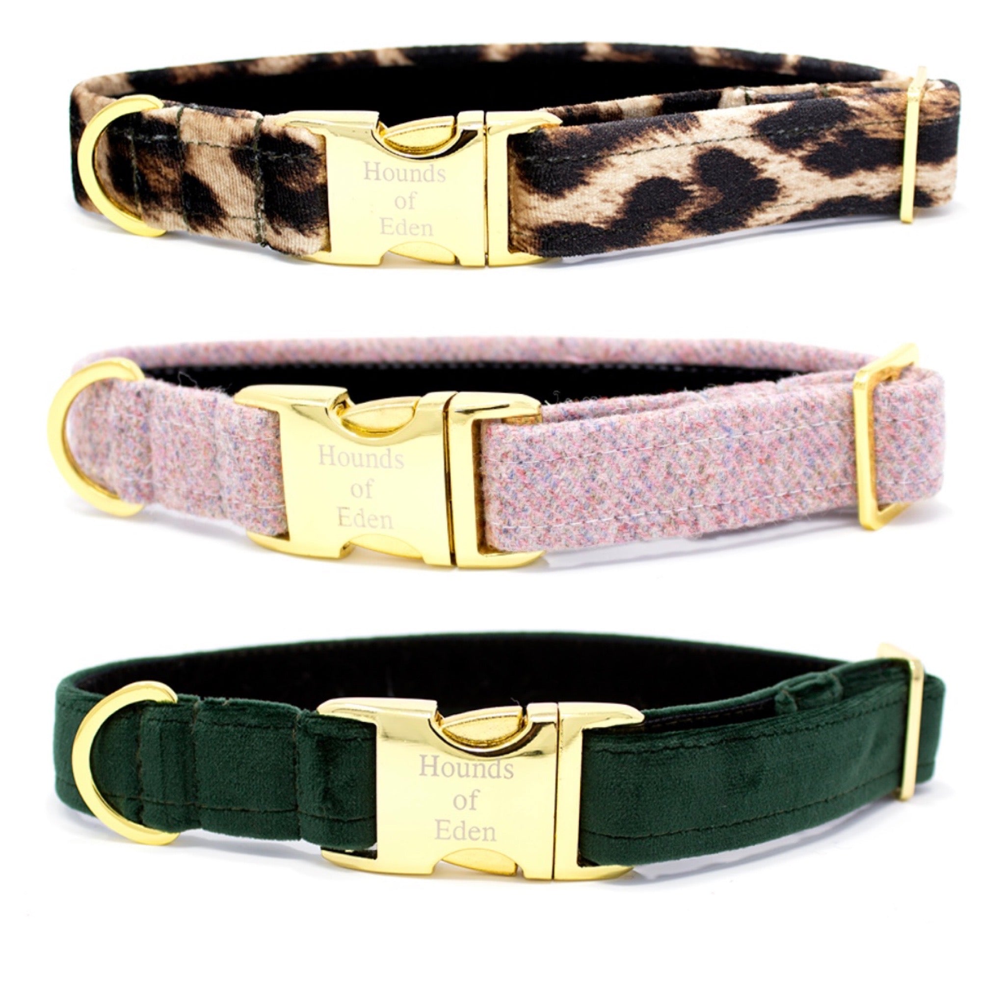 Exotic dog outlet collars