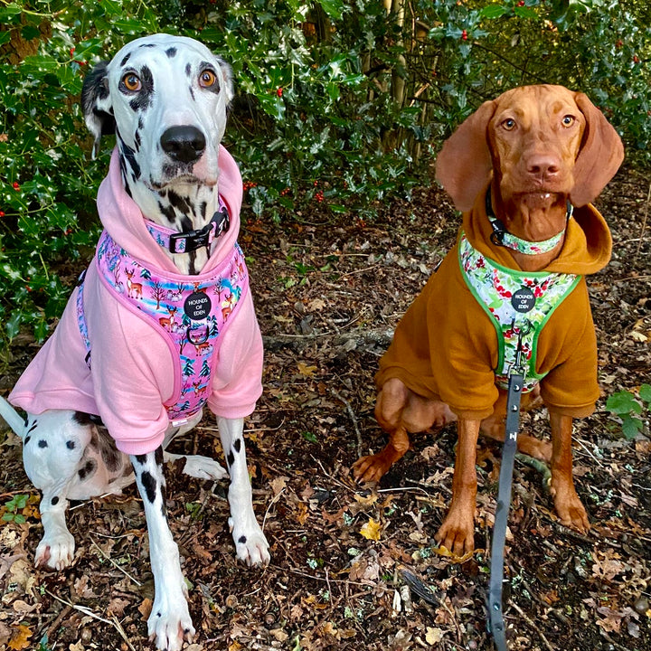 Winter Spruce & Berries Design Dog Harness