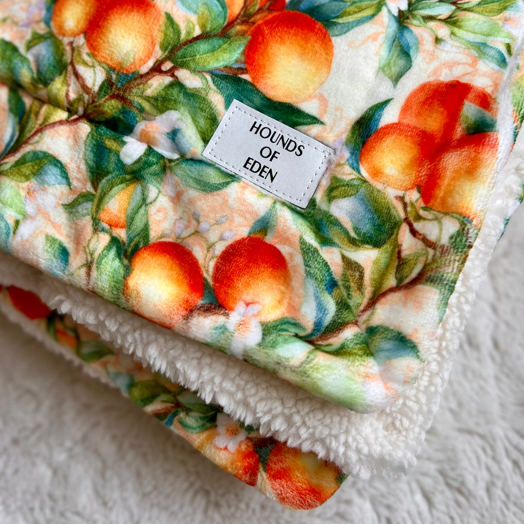 Simply the Zest - Oranges Dog Snuggle Blanket