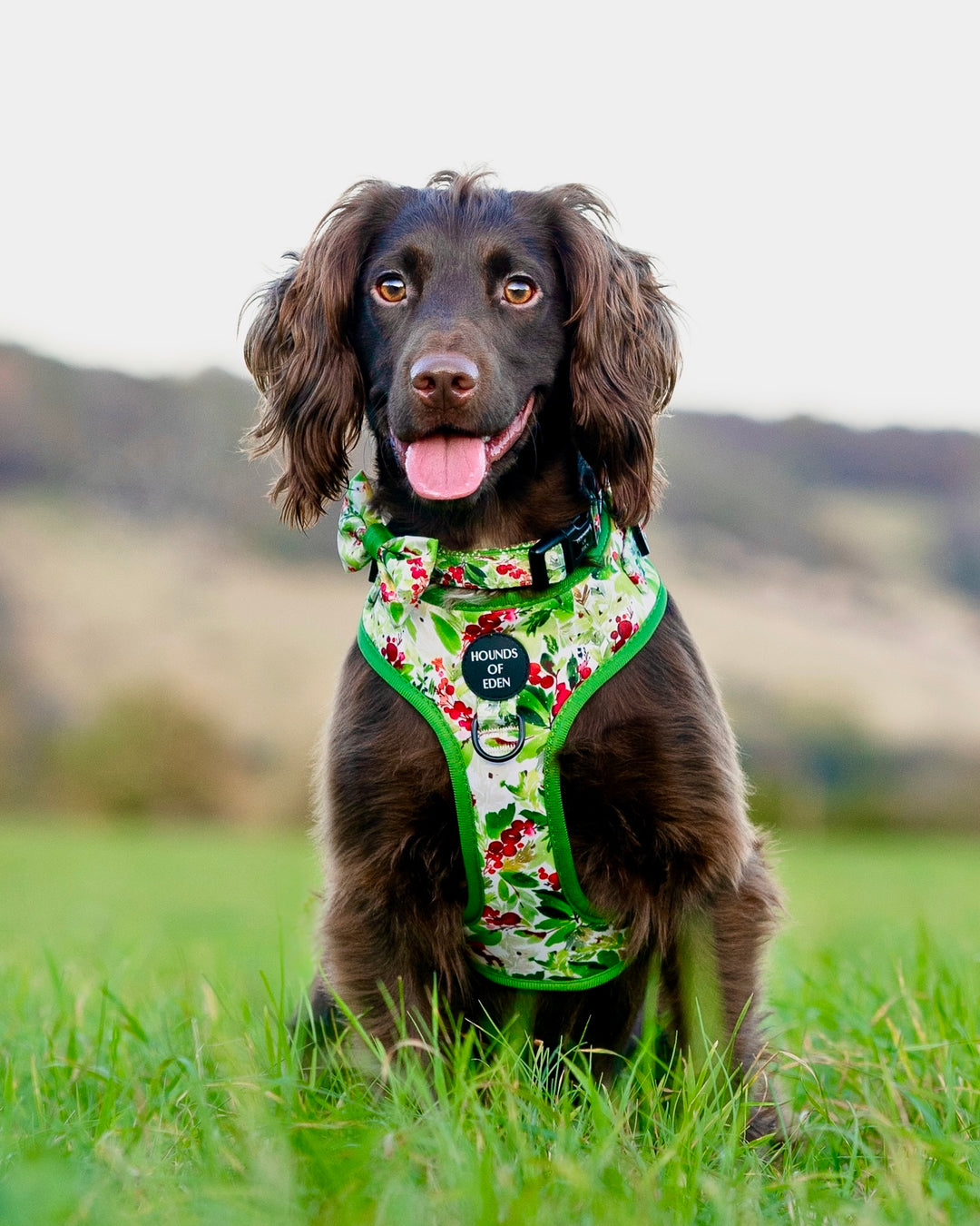 Hundehalsband mit Winterfichten- und Beeren-Design