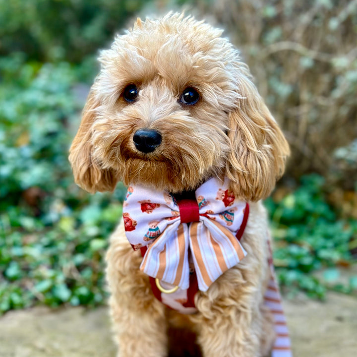 Harrold + Hattie Bears Dog Sailor Bow Tie