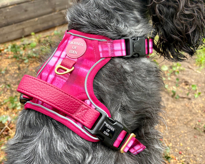 Rose Berry Plaid - Supaw Strong™ Lite Dog Harness (XS-XL)