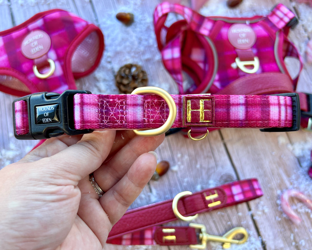 Rose Berry Plaid Dog Collar + Tag Holder