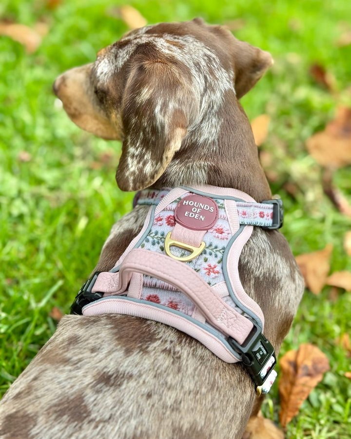 Bella's Jumper Supaw Strong Lite™ Dog Harness (XS-XL)