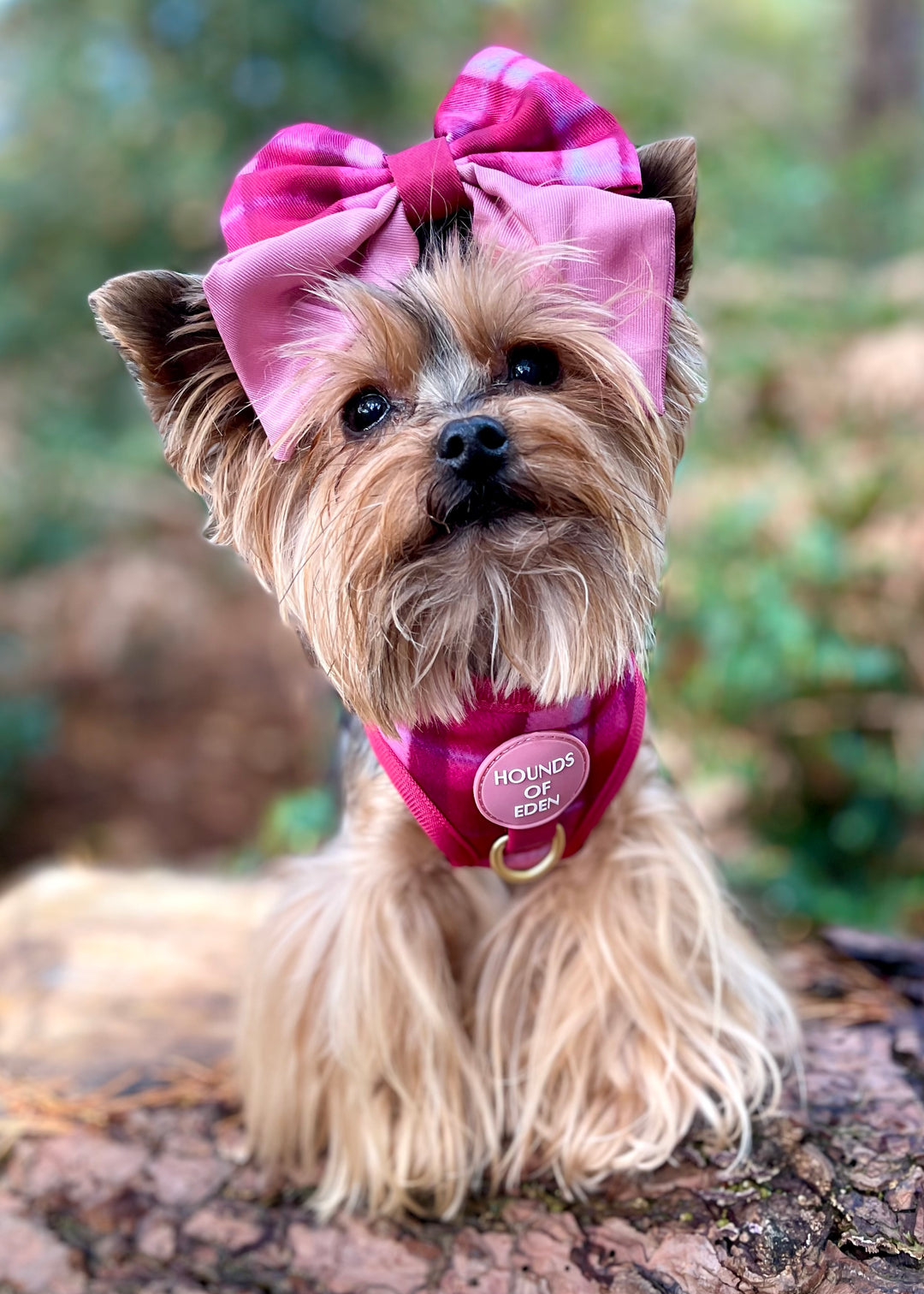 Rose Berry Plaid Sailor Bow Tie