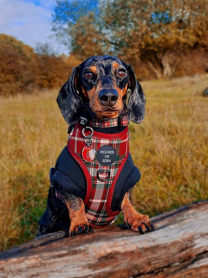 Tartan Me Up - Red & Cream Tartan Design Dog Collar