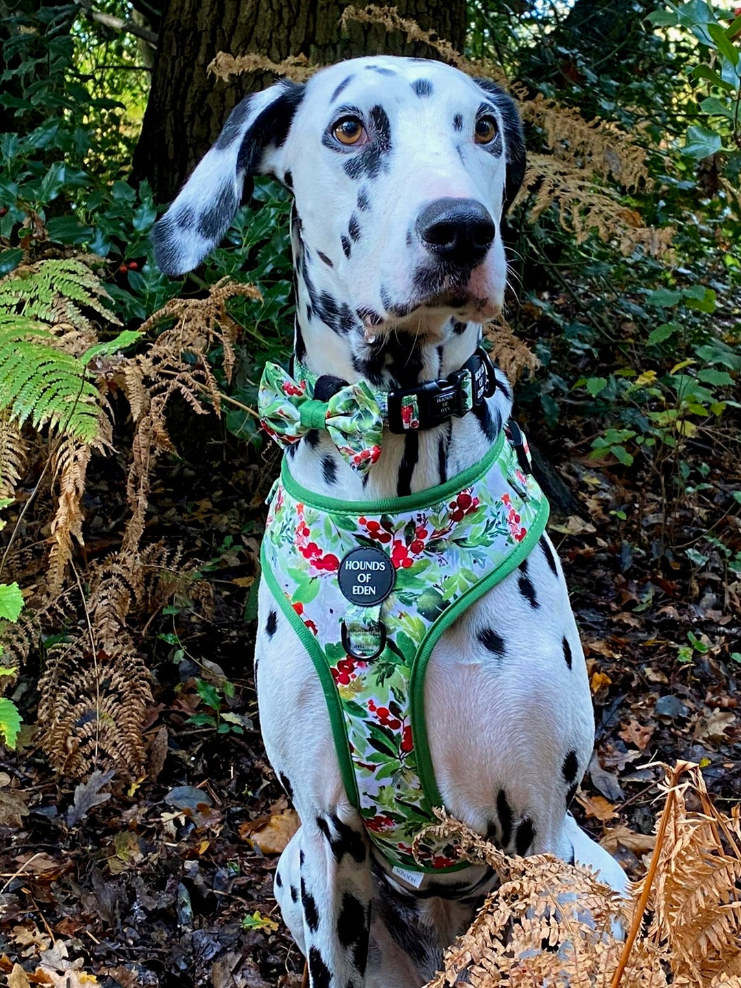 Hundehalsband mit Winterfichten- und Beeren-Design