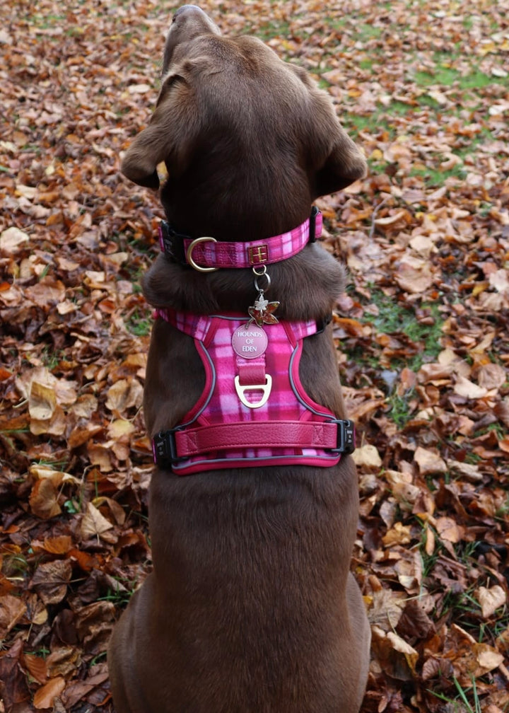 Rose Berry Plaid - Supaw Strong™ Lite Dog Harness (XS-XL)