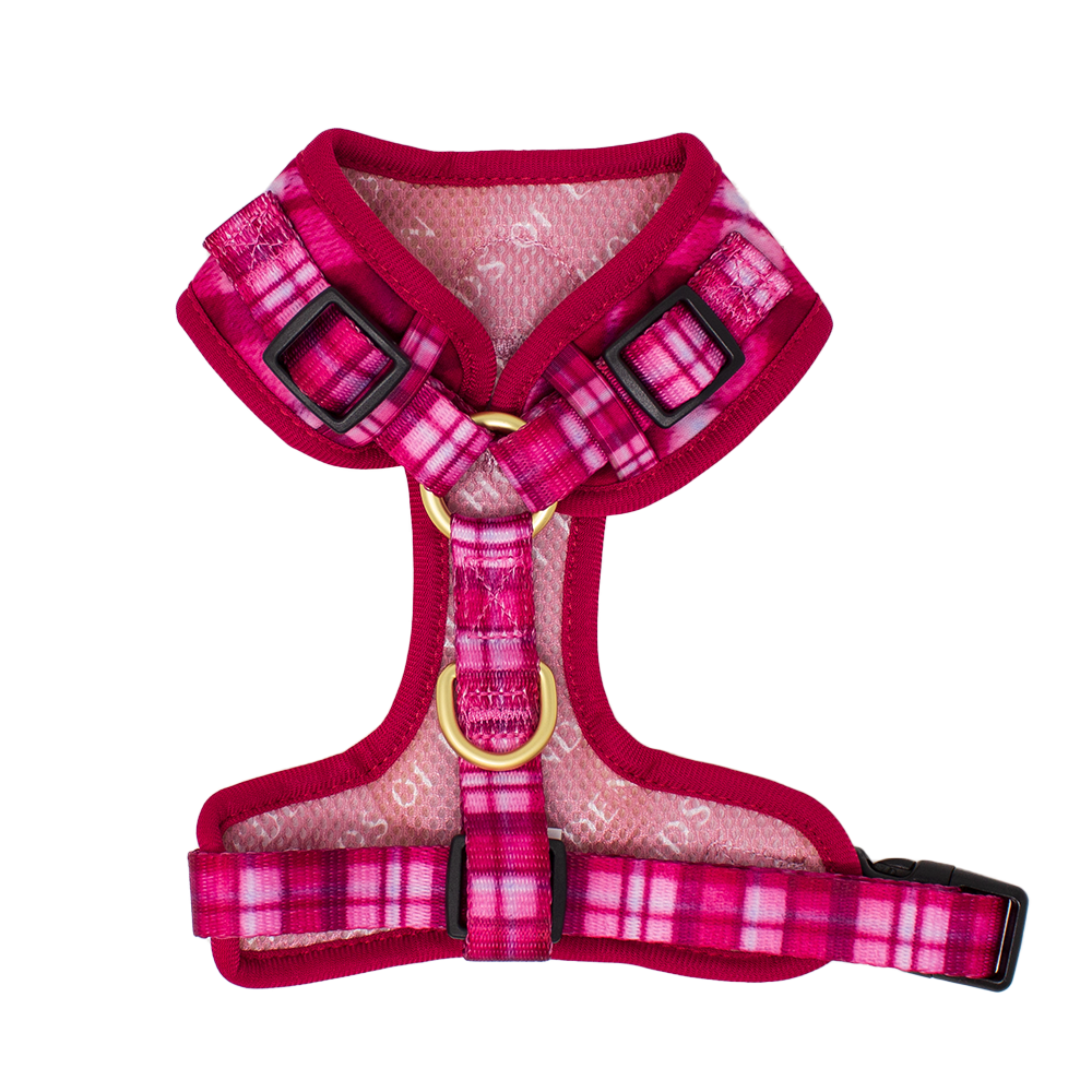 Rose Berry Plaid - Adjustable Dog Harness (XXS-XS)