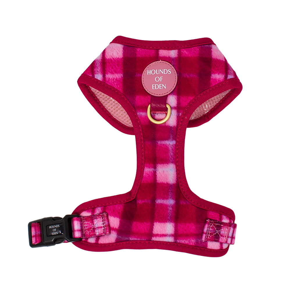 Rose Berry Plaid Dog Collar + Tag Holder