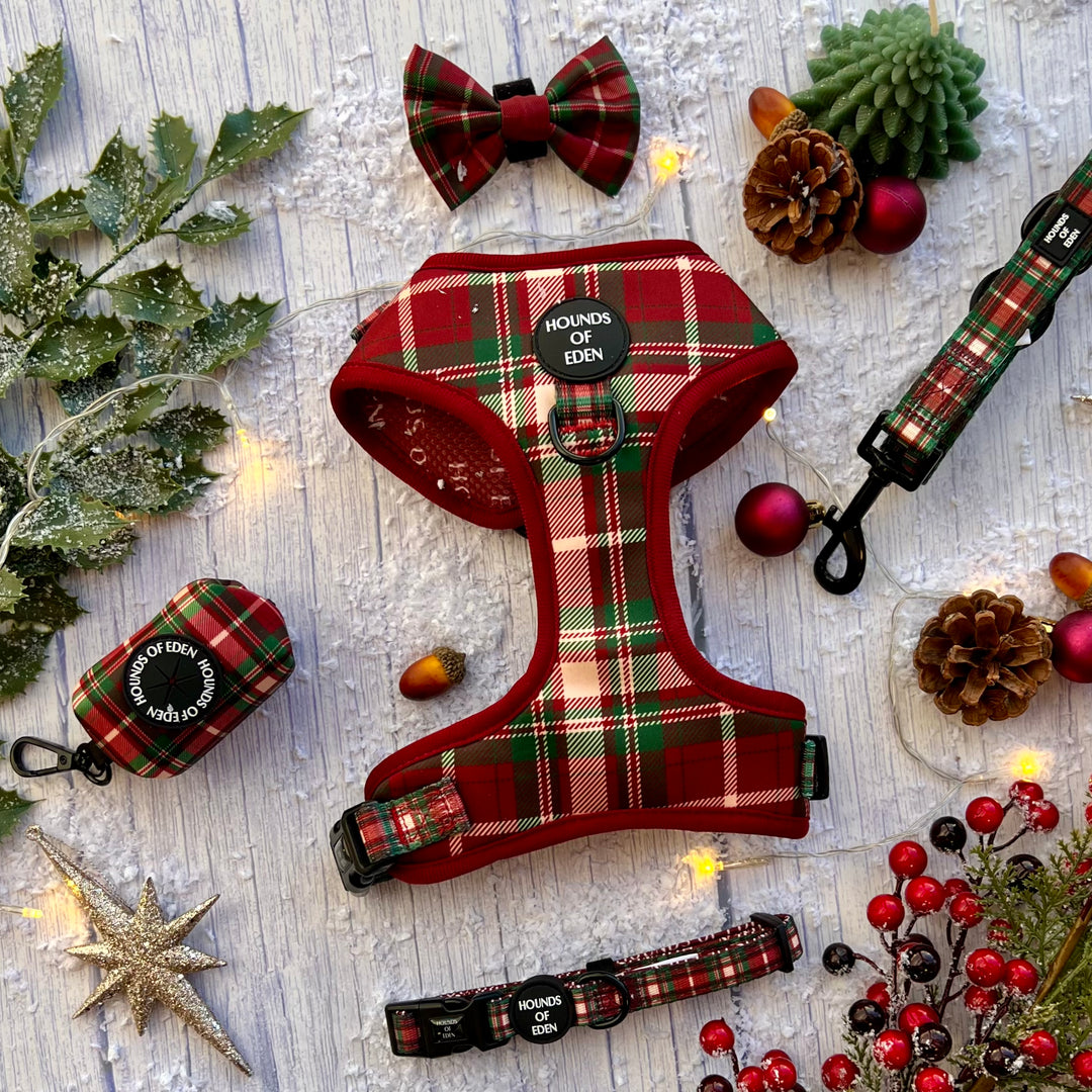 Tartan Me Up - Hundehalsband mit rotem und cremefarbenem Schottenmuster