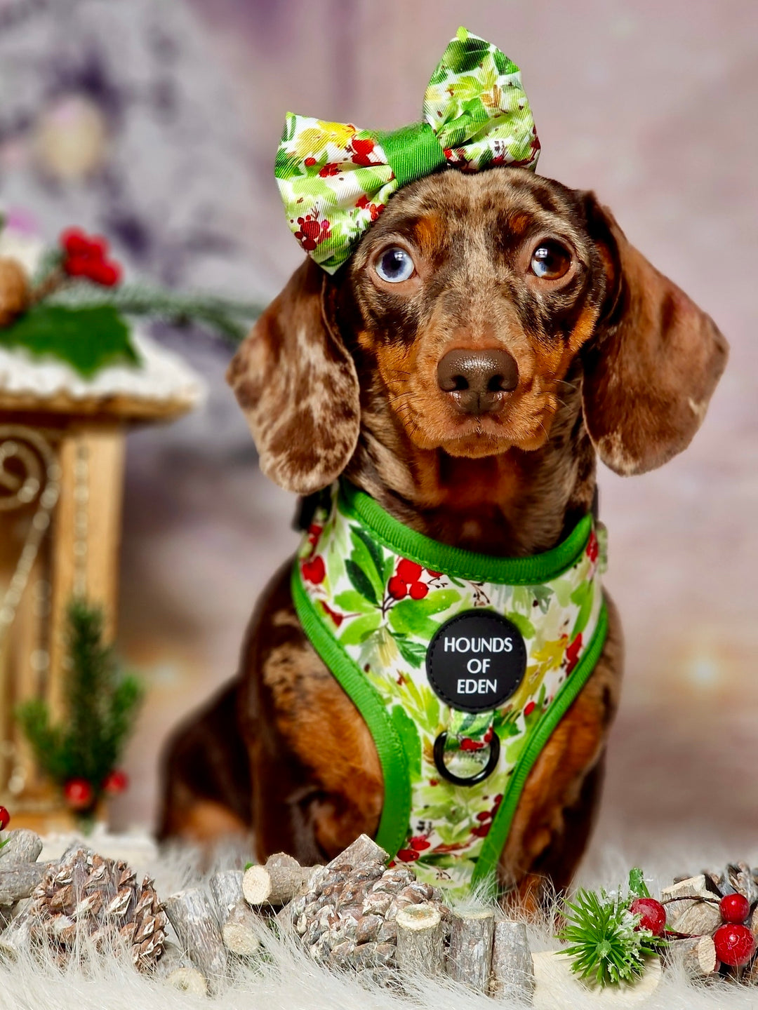 Winter Spruce & Berries Design Dog Bow Tie