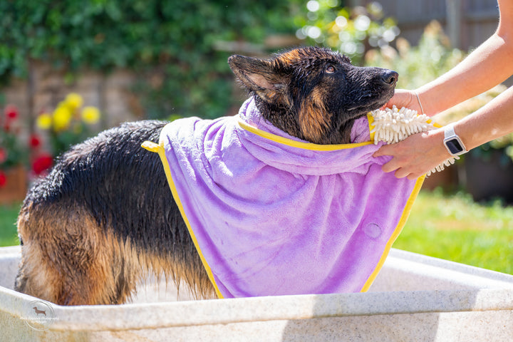 Wild Blossom - Dog Towel + Carry Bag