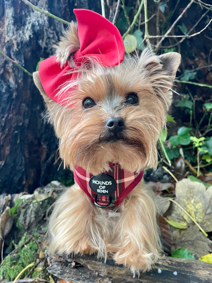 Tartan Me Up - Red & Cream Tartan Design Dog Collar