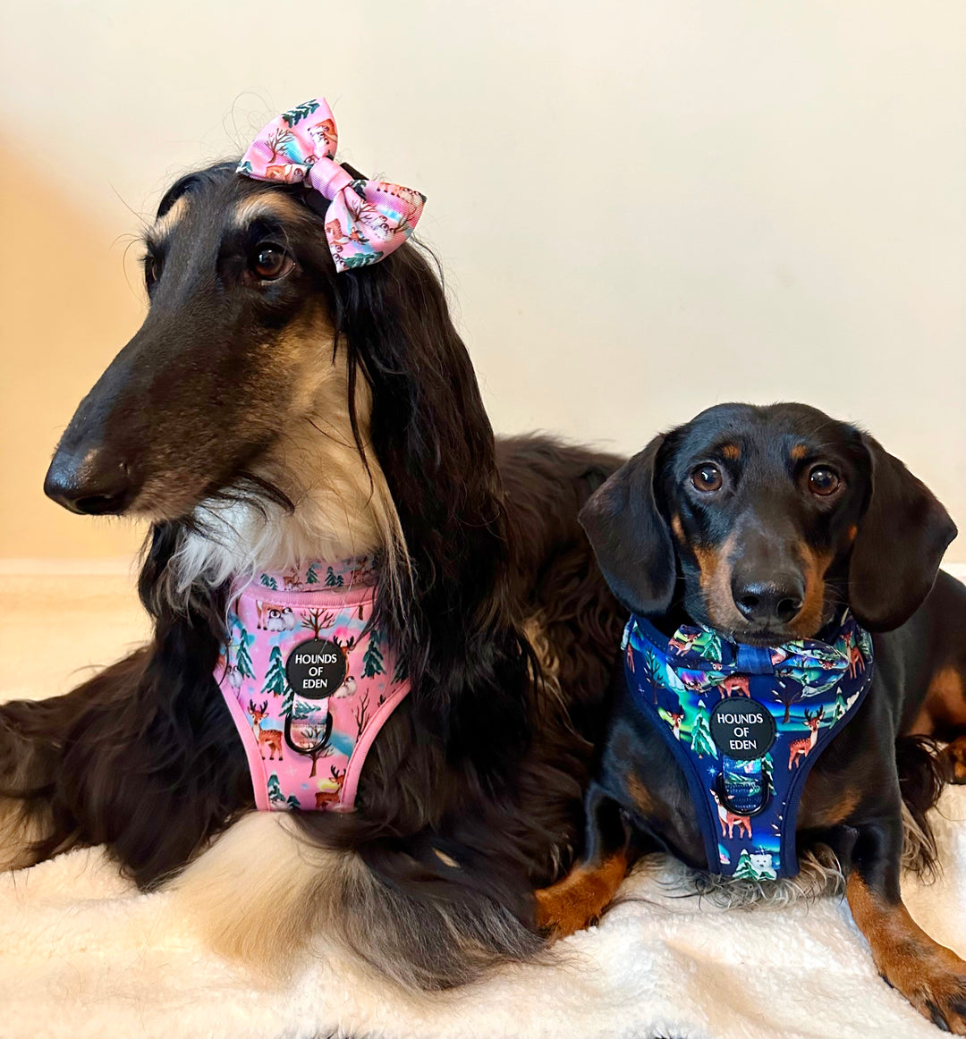 Aurora Nights - Pink Penguin Design Dog Harness