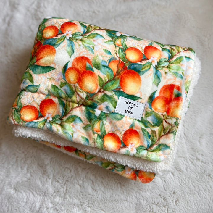 Simply the Zest - Oranges Dog Snuggle Blanket