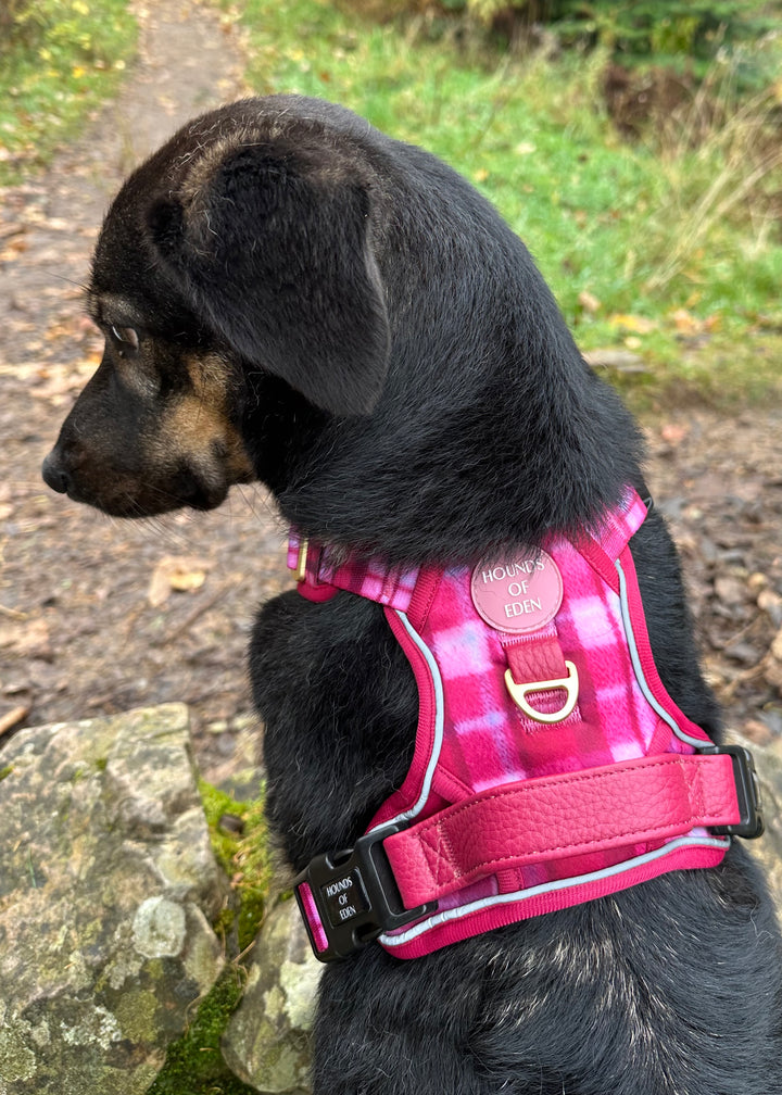 Rose Berry Plaid - Supaw Strong™ Lite Dog Harness (XS-XL)