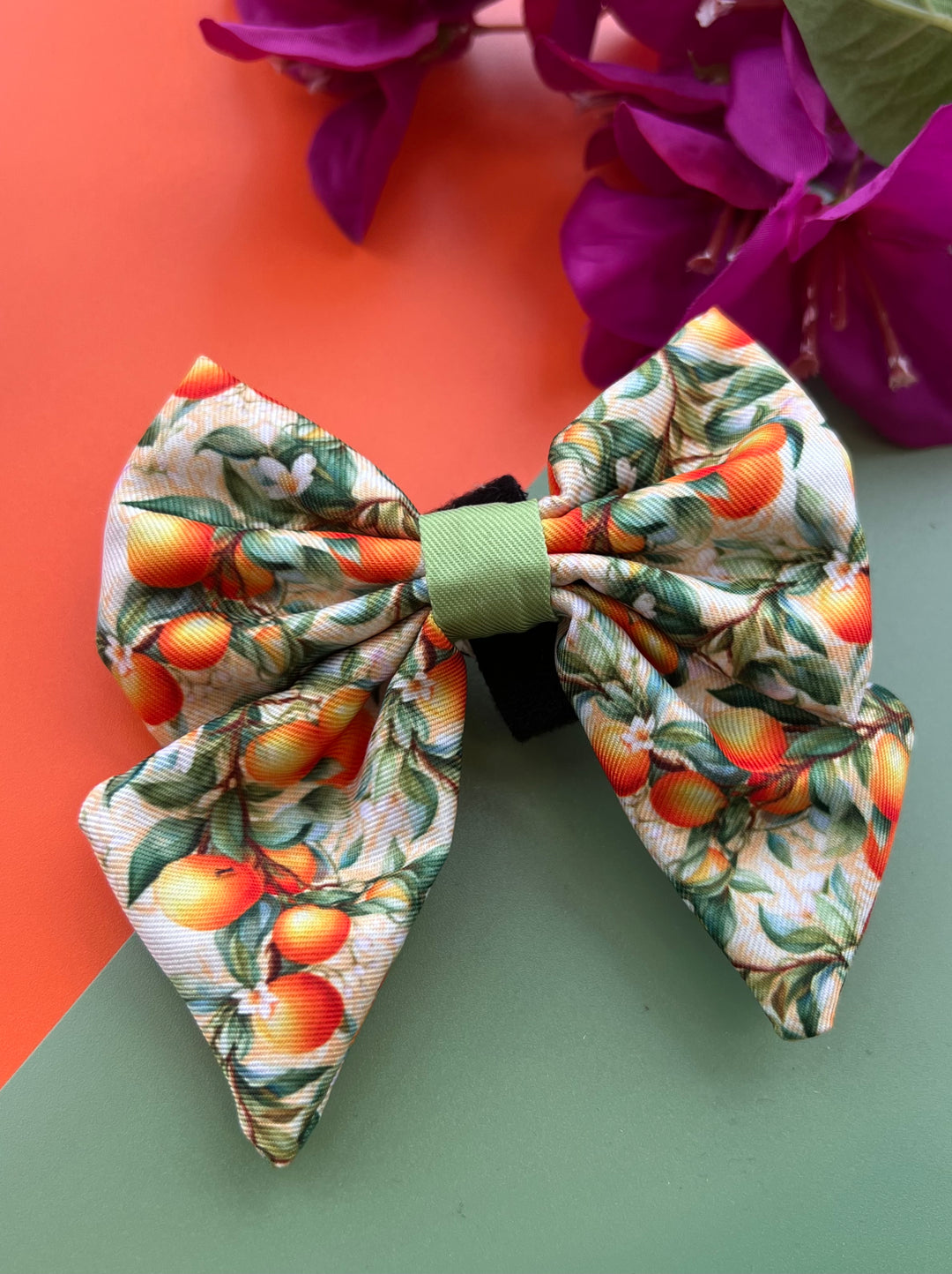 Simply the Zest - Oranges Dog Sailor Bow Tie