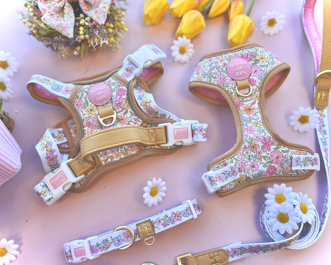 Pastel Petals - Supaw Strong™ Dog Harness (XS-XL)