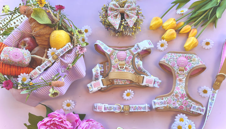 Pastel Petals - Dog Collar + ID Tag Holder