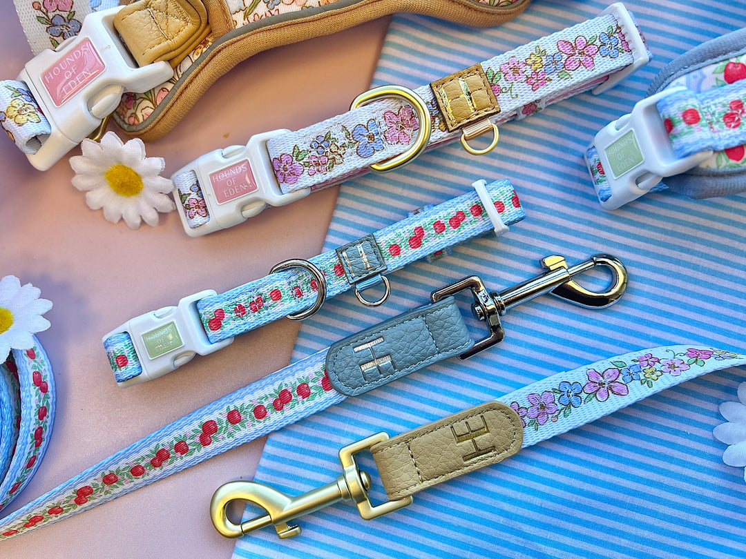 Pastel Petals - Leather Dog Lead