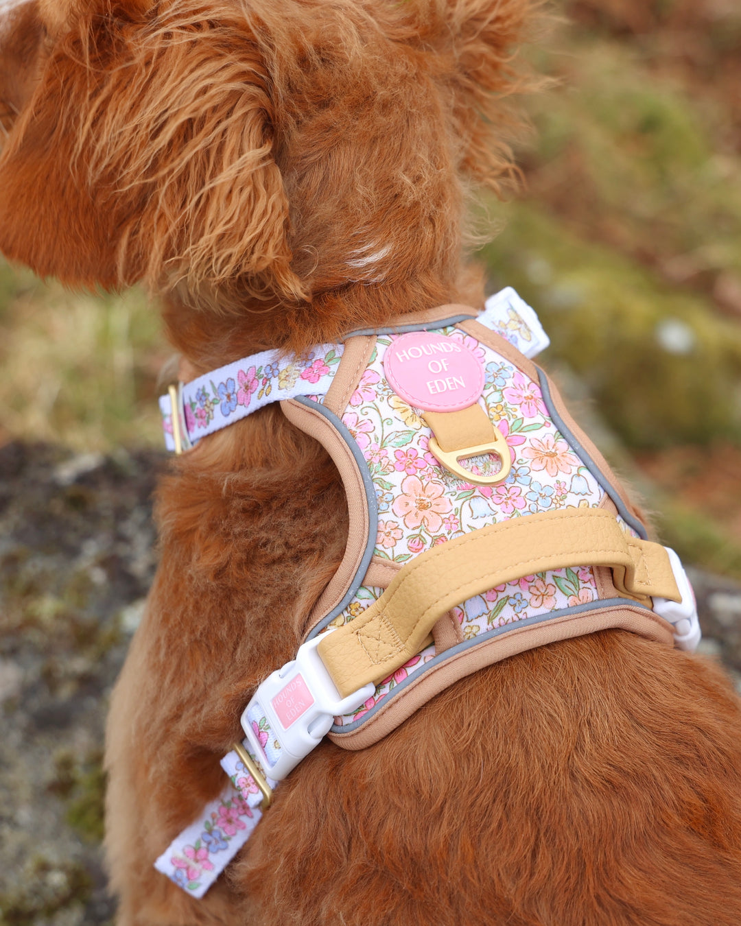 Pastel Petals - Supaw Strong™ Dog Harness (XS-XL)