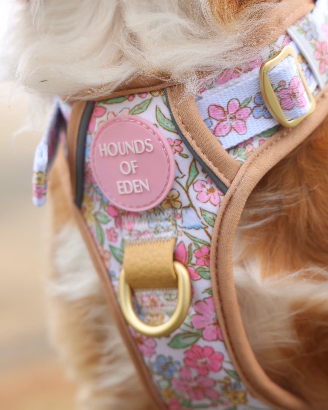 Pastel Petals - Supaw Strong™ Dog Harness (XS-XL)