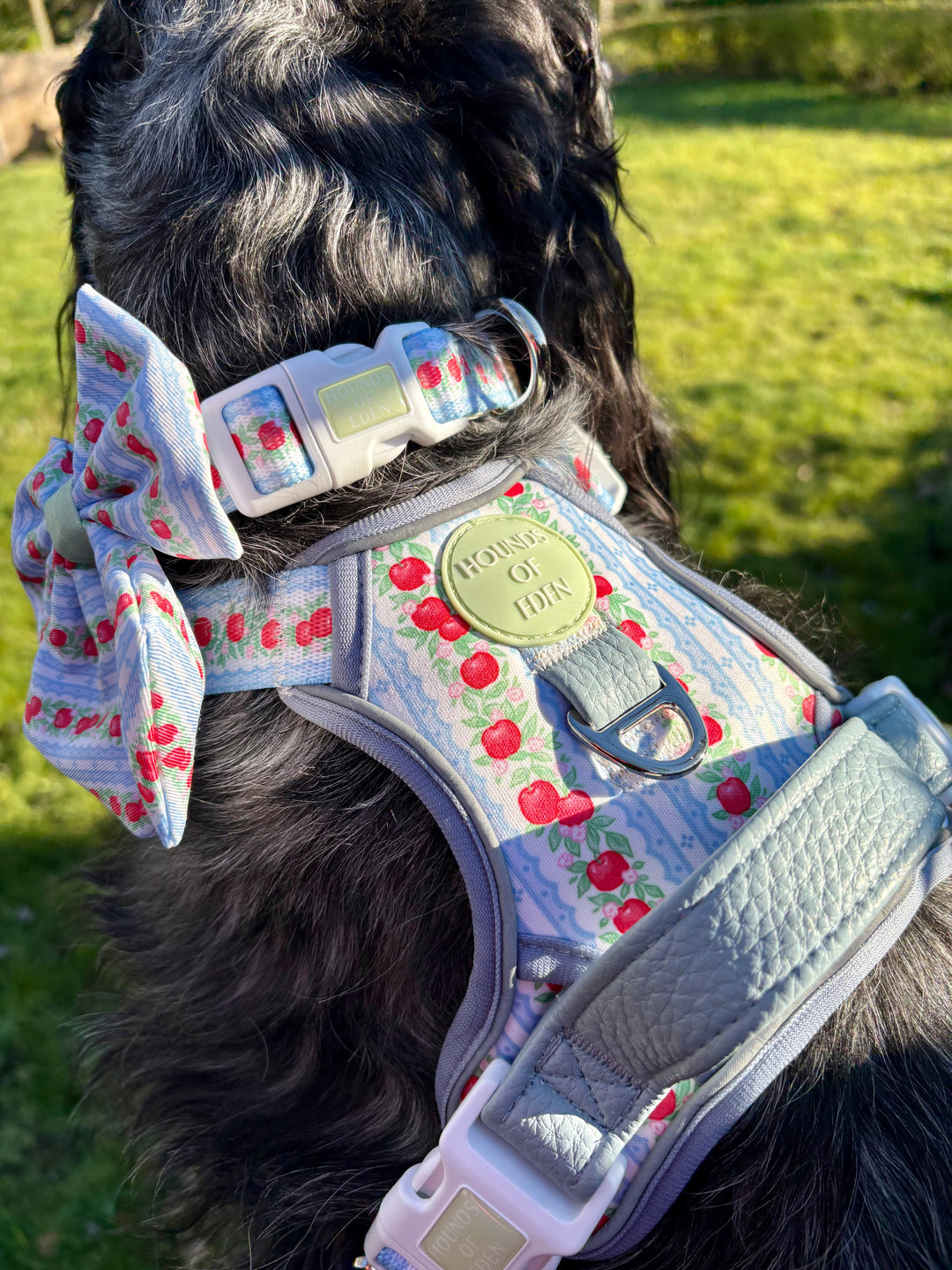 Eden's Orchard -  Supaw Strong™ Dog Harness (XS-XL)