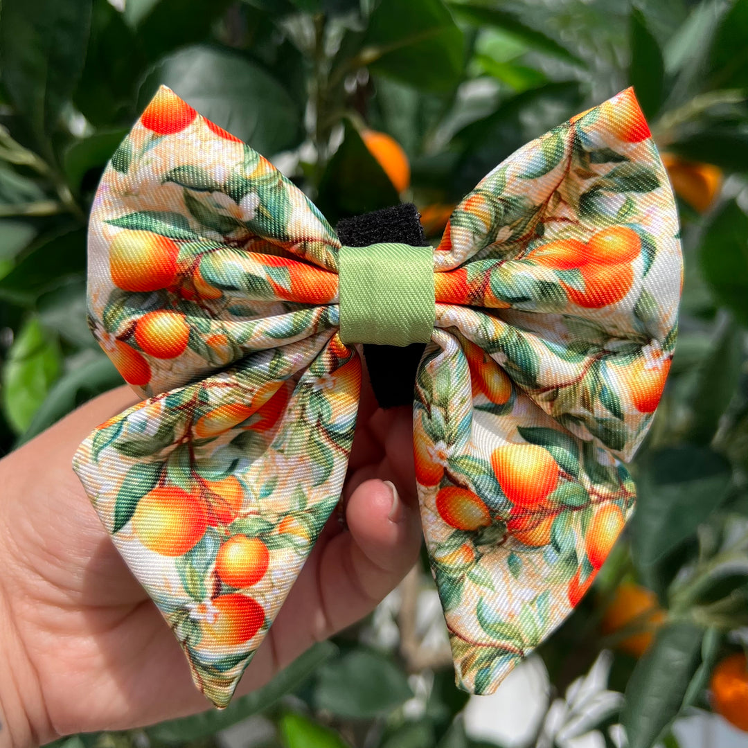 Simply the Zest - Oranges Dog Sailor Bow Tie