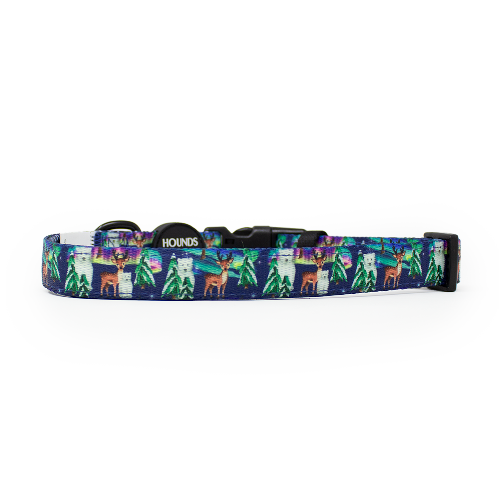 Polar Lights - Navy Polar Bear Design Dog Collar