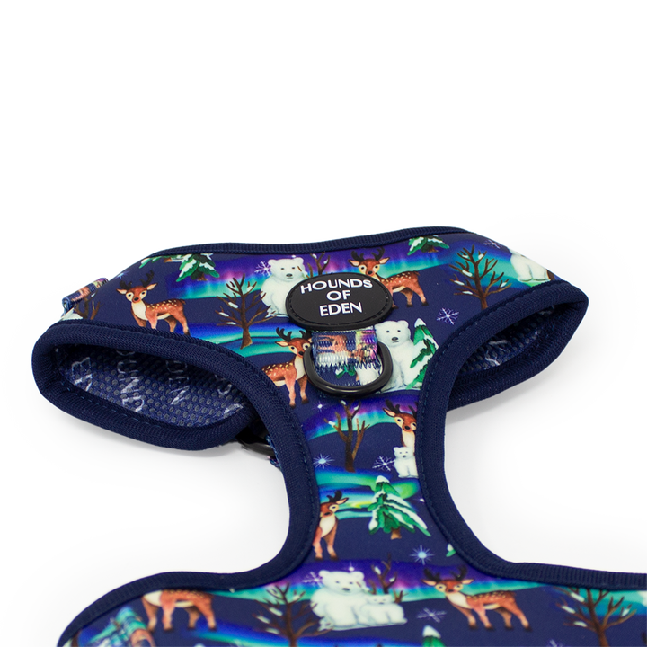 Polar Lights - Navy Polar Bear Design Dog Collar