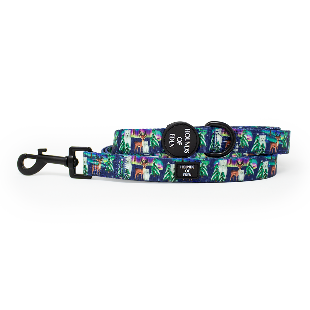 Polar Lights - Marineblaues Hundehalsband mit Eisbär-Design