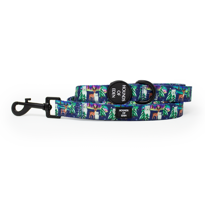 Polar Lights - Marineblaues Hundehalsband mit Eisbär-Design