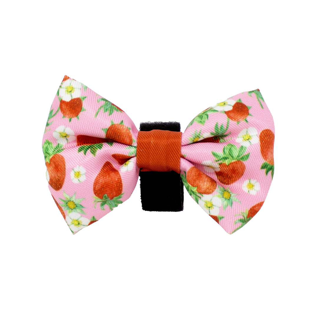 Strawberry Patch Design Dog Bow Tie