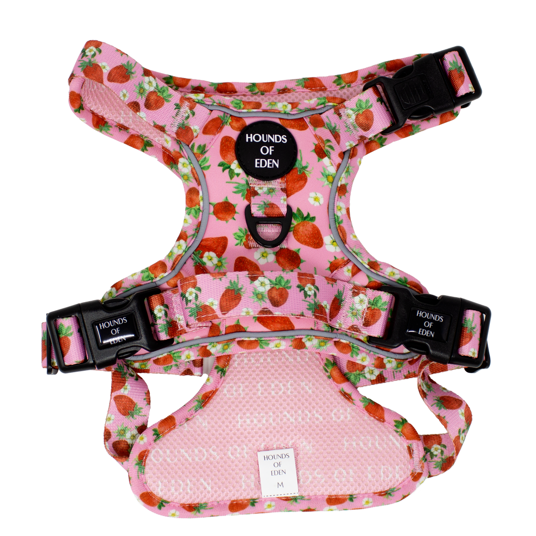 Retro Bloom Supaw Strong Lite™ Hundegeschirr (XS-XL)