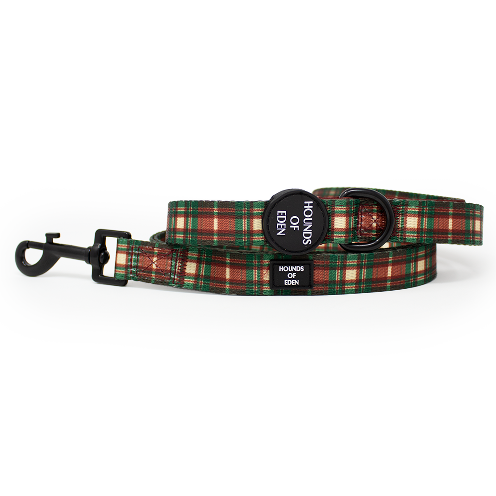 Tartan Me Up - Hundehalsband mit rotem und cremefarbenem Schottenmuster