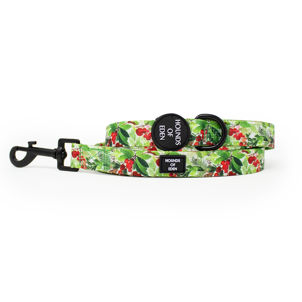 Hundehalsband mit Winterfichten- und Beeren-Design