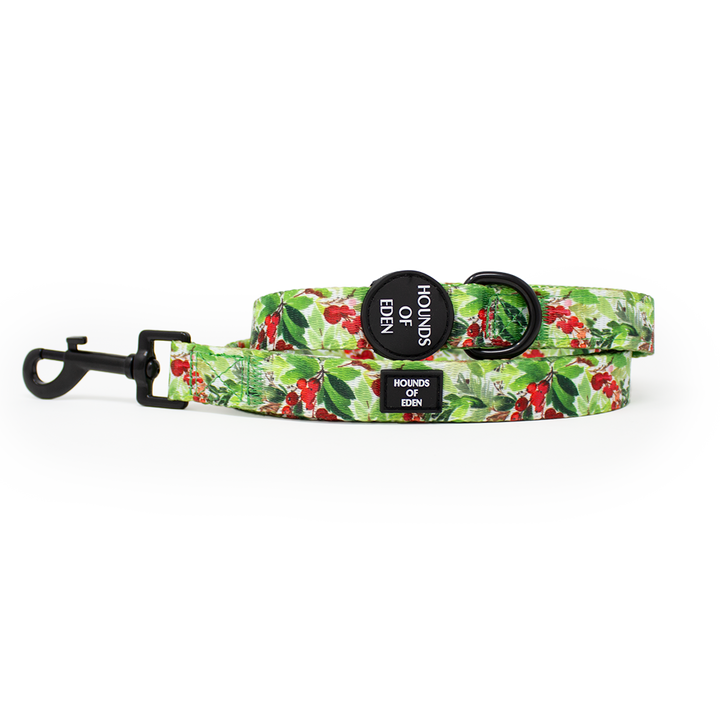 Hundehalsband mit Winterfichten- und Beeren-Design