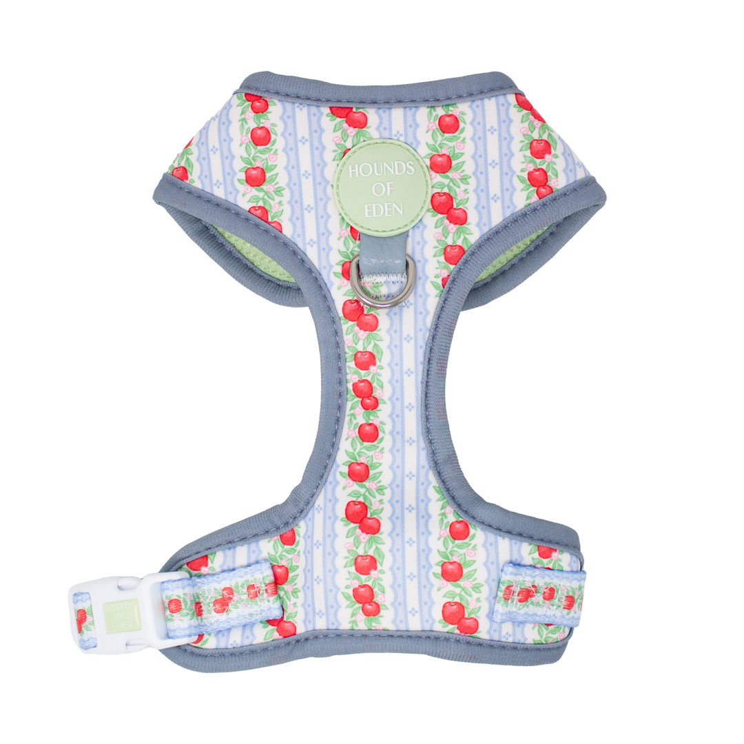 Eden's Orchard - Adjustable Dog Harness (XXS-XS)