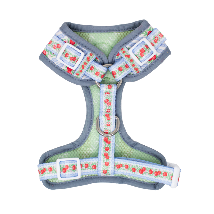 Eden's Orchard - Adjustable Dog Harness (XXS-XS)