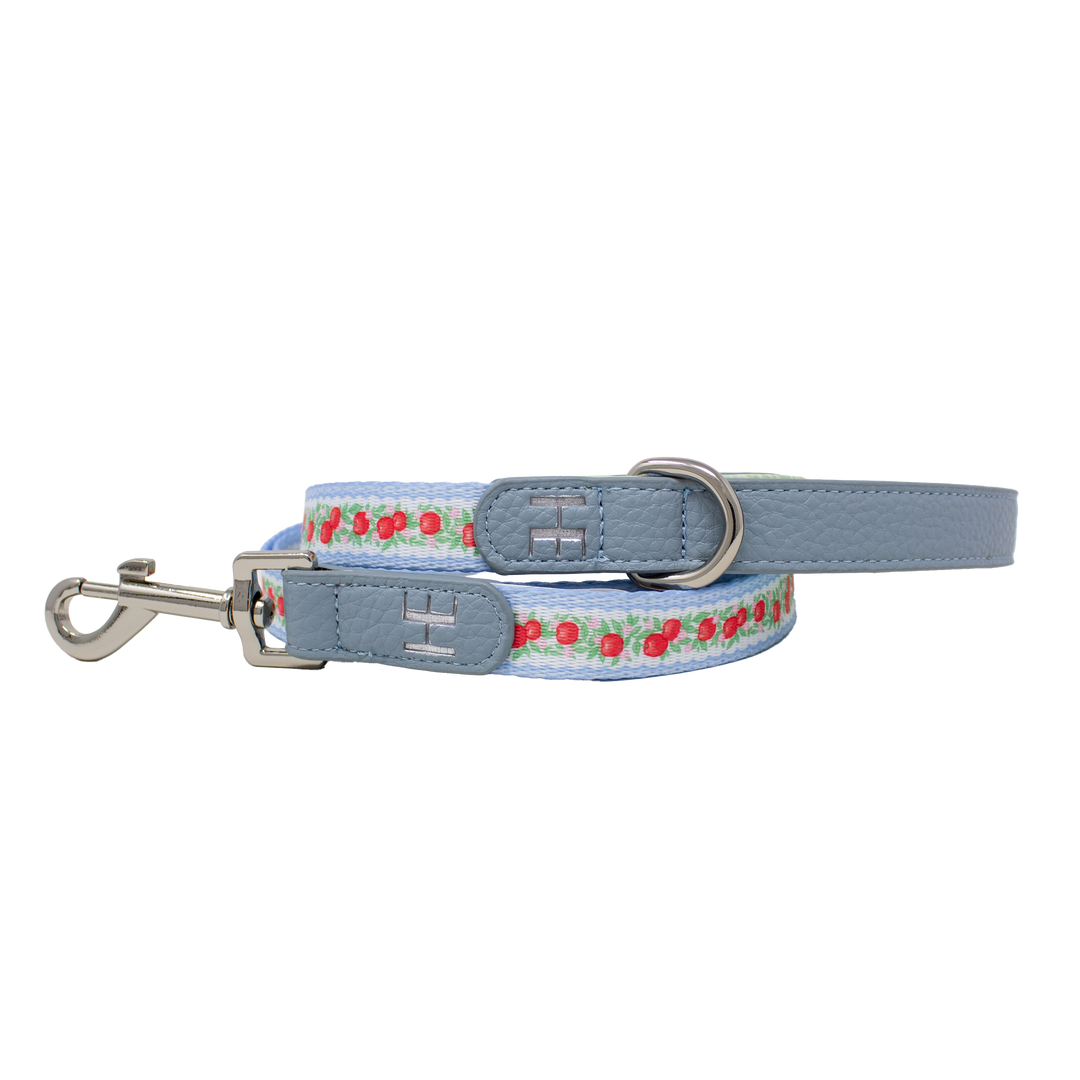 Eden's Orchard - Dog Collar + ID Tag Holder