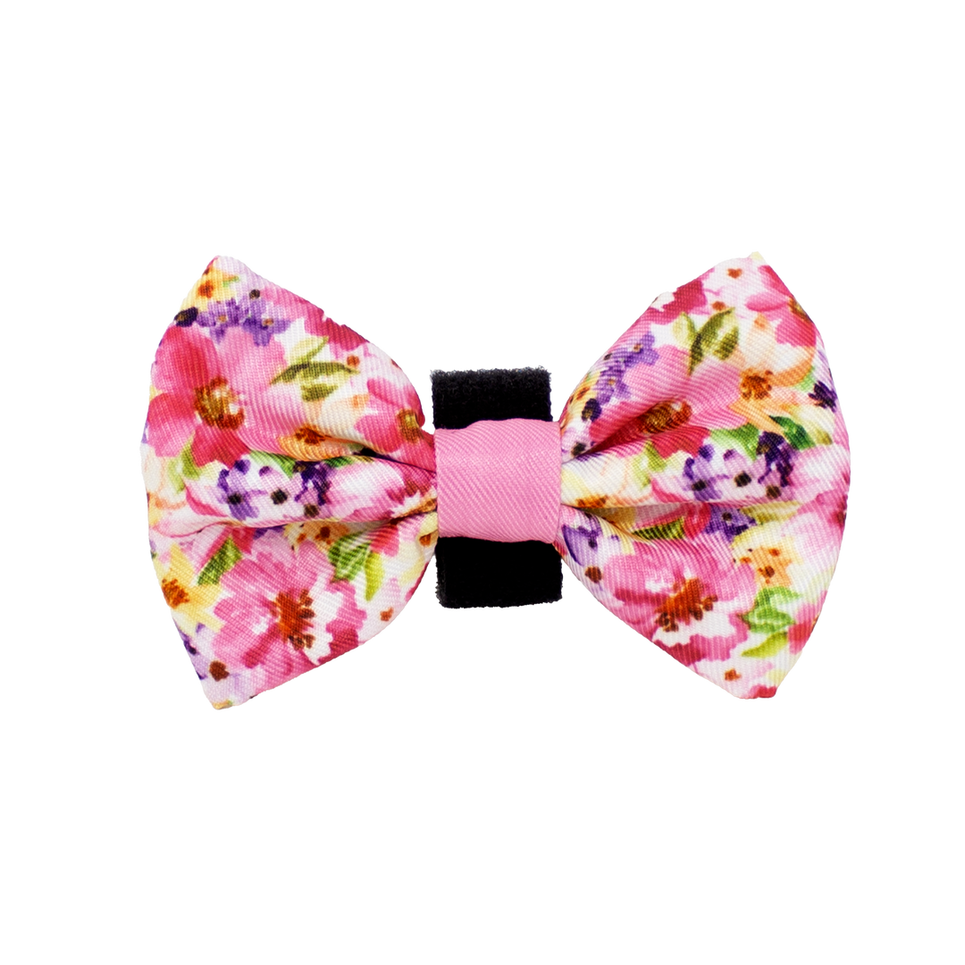 Florentina Bow Tie