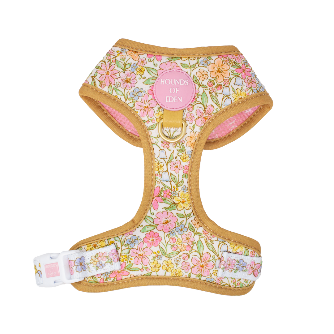 Pastel Petals - Dog Collar + ID Tag Holder