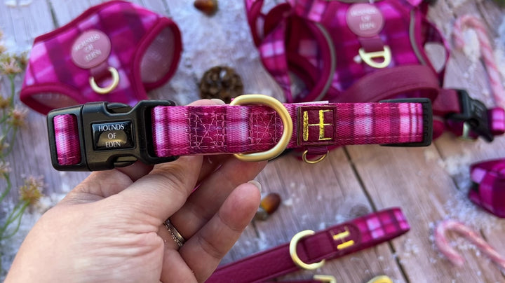 Rose Berry Plaid Dog Collar + Tag Holder