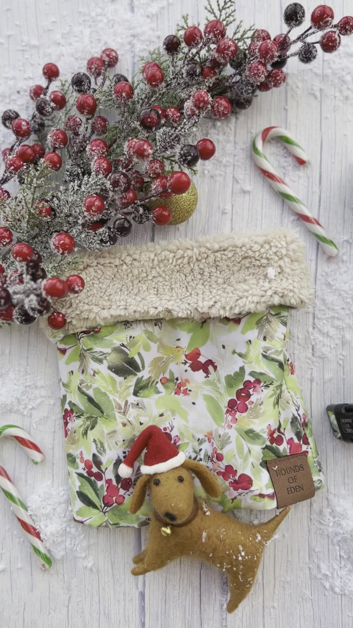 Hundefliege mit Winterfichten- und Beeren-Design