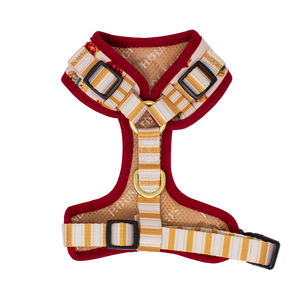 Harrold + Hattie Bears Dog Harness (XXS-XS)