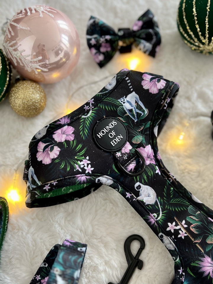 Midnight Madagascar Design Dog Bow Tie