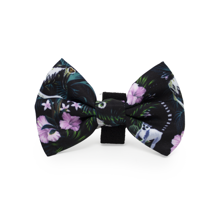 Midnight Madagascar Design Dog Bow Tie