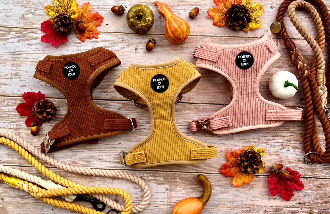 Mustard Yellow Corduroy Poop Bag/Treat Holder