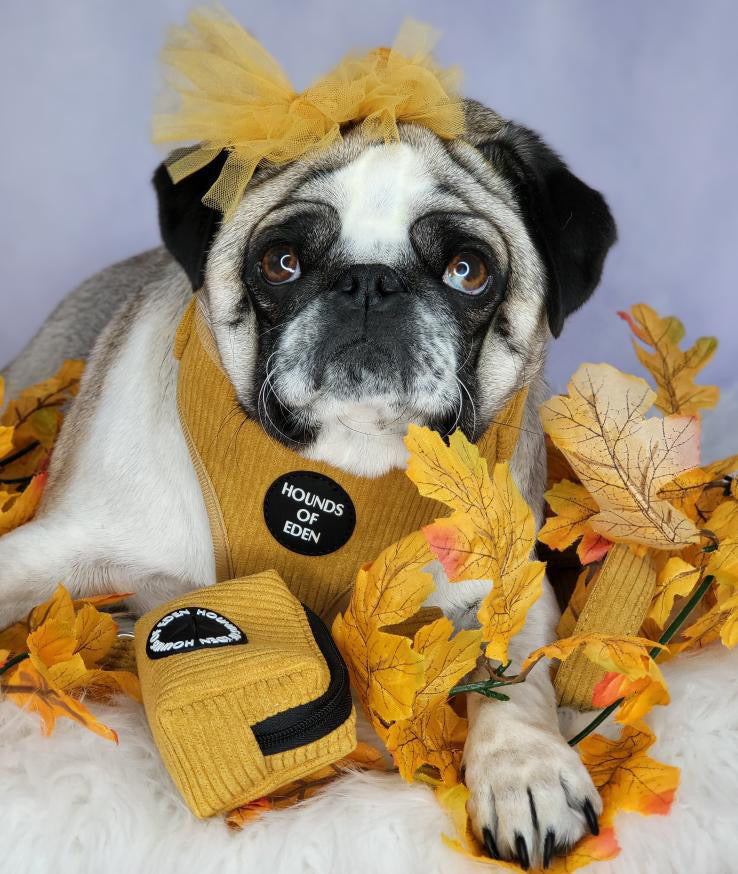 Mustard Yellow Corduroy Poop Bag/Treat Holder